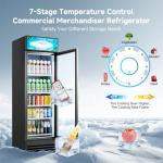 BODEGACOOLER 420 Can Beverage Refrigerator