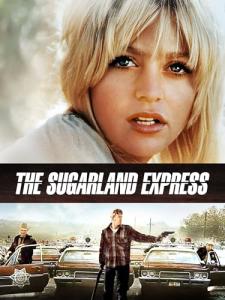 Sugarland Express Neon Wall Sign