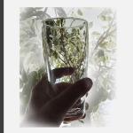 Amsterdam Beer Glasses Set - 4 Traditional Style