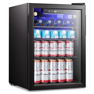 Mini Fridge for Beverages and Wine – 100 Can
