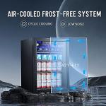 Mini Fridge for Beverages and Wine – 100 Can