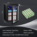 Mini Fridge for Beverages and Wine – 100 Can