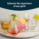 Libbey Craft Spirits Drinkware Glass Set of 6