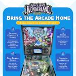 Wonderland Amusements Alice Goes to Wonderland Pinball Machine with LED Lighting