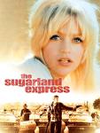 Sugarland Express Neon Wall Sign