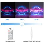 The World is Yours Neon Sign with Remote Dimmer, Ice Blue Pink Planet LED Neon Light Lamp for Wall Decor, Man Cave Home Bar Game Room Bedroom Birthday Gift Graduation Party