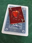Lucky Ace Poker Card Guard