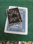 Lucky Ace Poker Card Guard