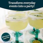 Cactus Margarita Glasses Set of 4 - 16 Ounce