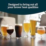 Assorted Beer Glasses Set - Perfect for Craft Brews