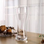 YIBEZ Set of 2 Craft Beer Glasses