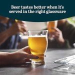 Assorted Beer Glasses Set - Perfect for Craft Brews