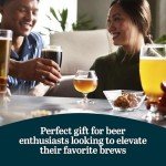 Assorted Beer Glasses Set - Perfect for Craft Brews