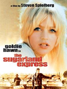 Sugarland Express Neon Wall Sign