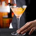 Set of 6 Unbreakable Plastic Martini Glasses