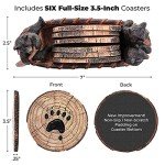Rustic Bear Coasters Set in Handmade Canoe