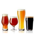 Craft Beer Tasting Kit with 4 Glasses