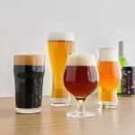 Craft Beer Tasting Kit with 4 Glasses