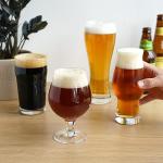 Craft Beer Tasting Kit with 4 Glasses