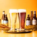 PARACITY 14 oz Pint Glasses Set of 2