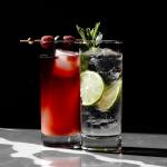LEMONSODA Highball Glass Set - 6 Elegant Glasses