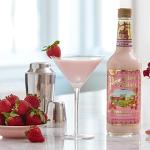 Set of 6 Stylish Cocktail Glasses Gift Set