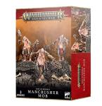 Warhammer AoS: Sons of Behemat - Game Set