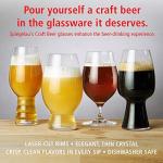 Spiegelau Craft Beer Glass Tasting Set of 4