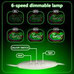 Florida Gators Neon Sign for Man Cave