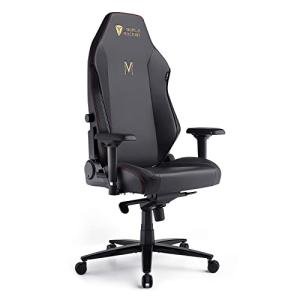 Ergonomic Gaming Chair with Lumbar Support and Armrests