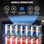 24" Beverage Refrigerator - Holds 154 Cans