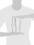 ZWILLING Sorrento Double-Wall Beer Glass Set