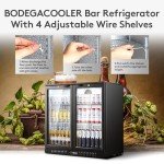 2-Door Back Bar Cooler with LED Lighting