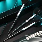 Red Dragon Pegasus Tungsten Darts Set - 24g