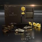 Premium Steel Tip Darts Set with Accessories