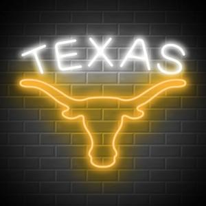 Texas Longhorn LED Neon Sign for Man Cave