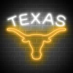 Texas Longhorn LED Neon Sign for Man Cave