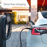 Lectron Wall Mount & Cable Holder for Tesla