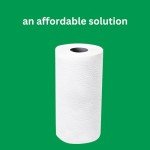 Amazon Basics 2-Ply Paper Towels, 150 Sheets/Roll