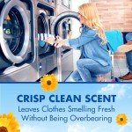 Arm & Hammer Crisp Clean Laundry Detergent 18lb