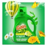 Gain Laundry Detergent Liquid Soap - 2 Pack
