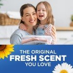 Arm & Hammer OxiClean Fresh Scent Laundry Detergent