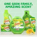 Gain Laundry Detergent Liquid Soap - 2 Pack