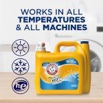 Arm & Hammer OxiClean Fresh Scent Laundry Detergent
