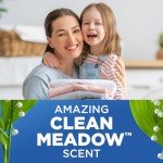 Arm & Hammer Clean Meadow Laundry Detergent, 77 Loads