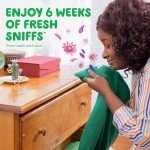 Gain Aroma Boost Laundry Detergent, Moonlight Breeze - 2 Pack