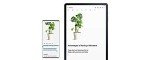 Samsung Electronics Samsung Galaxy Tab S7 Wi-Fi, Mystic Bronze - 512GB (Renewed)