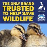 Dawn Platinum Dish Soap, Refreshing Rain - 2 Pack