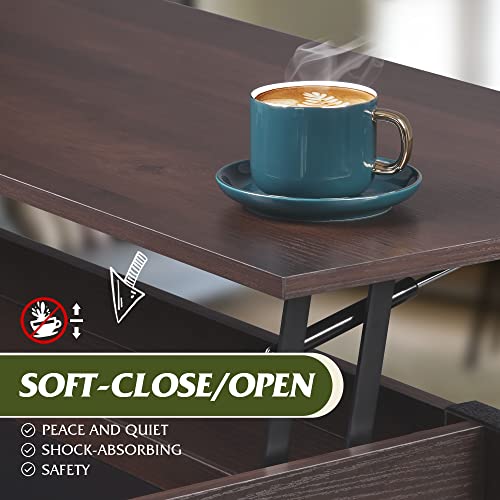 Modern Rustic Lift-Top Coffee Table - Brown Oak