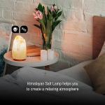 Himalayan Crystal Rock Salt Lamp with Wooden Base
